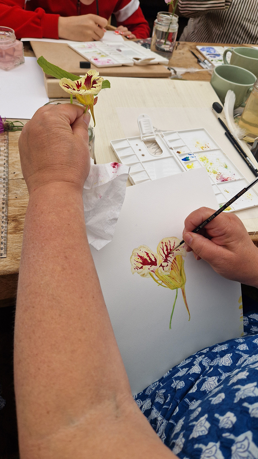 Painting a nasturtium at a Botanical art workshop with Marianne Hazlewood