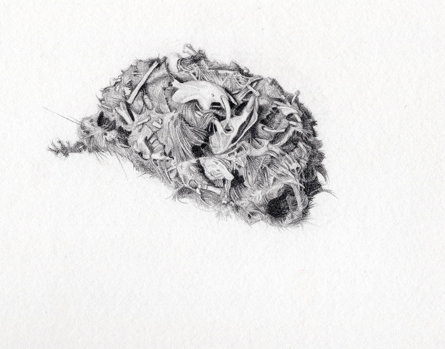 felted-grave-1-web Felted grave I - Owl pellet - Graphite on Lambeth Cartridge by Marianne Hazlewood