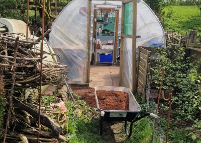 Relocated polytunnel - 2024