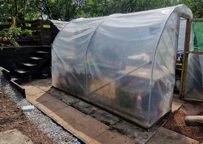 Relocated polytunnel - 2024
