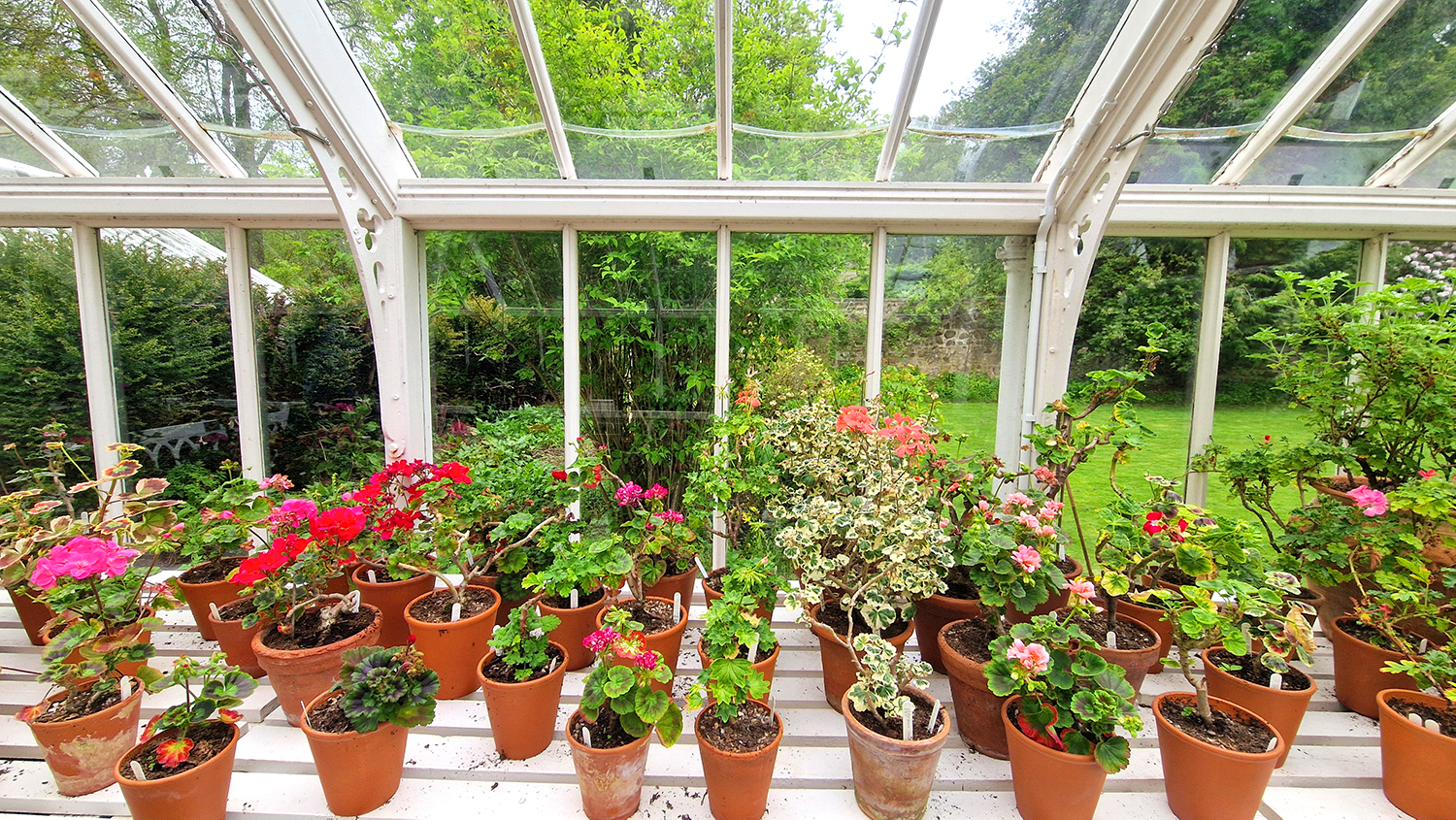 Malleny Gardens Victorian Greenhouse Malleny Gardens Victorian Greenhouse
